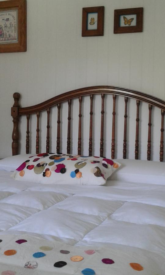 Hosteria Alemana Villarrica Chambre photo